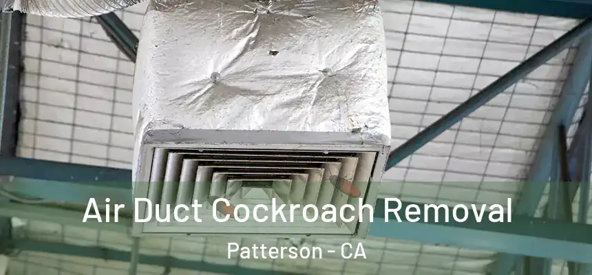 Air Duct Cockroach Removal Patterson - CA
