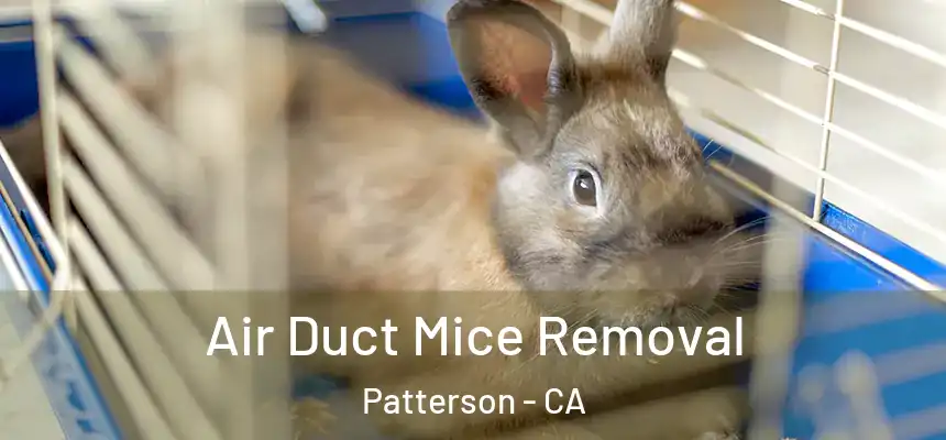  Air Duct Mice Removal Patterson - CA