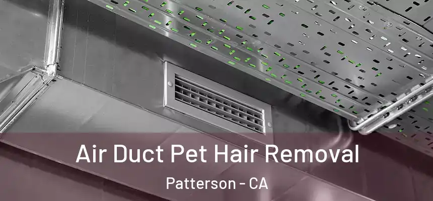  Air Duct Pet Hair Removal Patterson - CA
