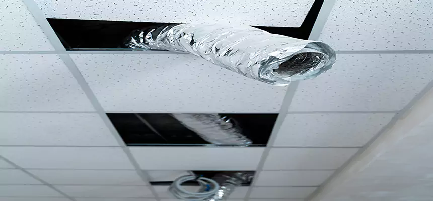 Affordable HVAC Sanitizing After Pest Removal in Patterson