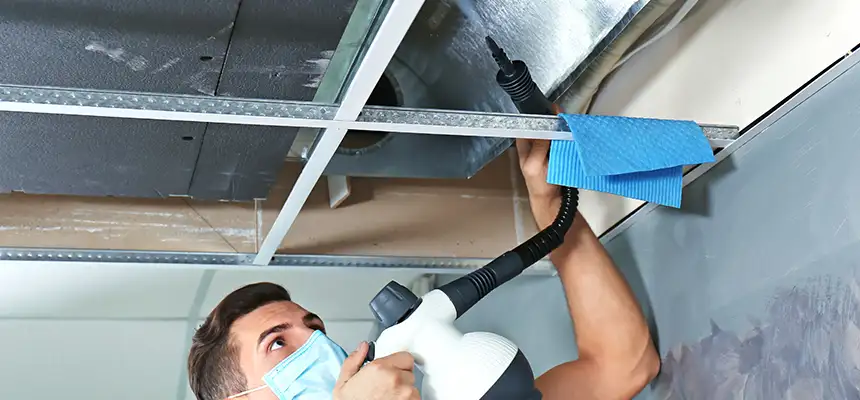 Our Air Duct Rodent Removal Services in Patterson, CA