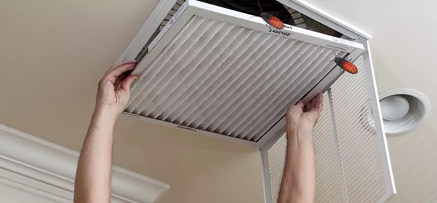 Our Insect Removal from Air Ducts Services in Patterson, CA