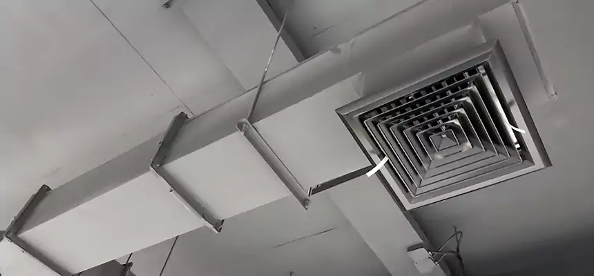 Our Rodent Droppings In Vents Services in Patterson, CA