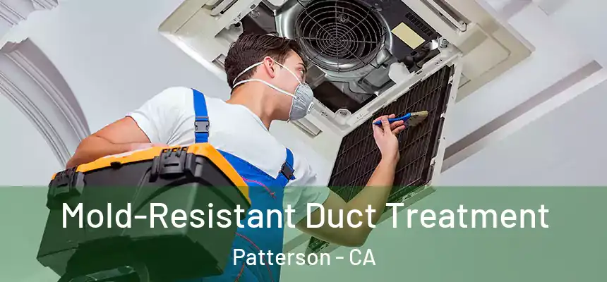  Mold-Resistant Duct Treatment Patterson - CA