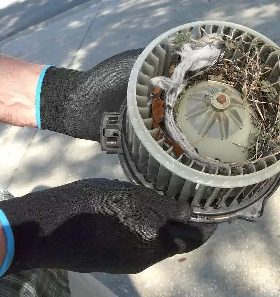 About Air Duct Mice Removal in Patterson, CA