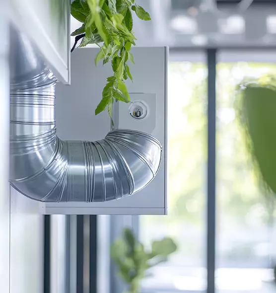 Professional Eco-Safe Dryer Vent Cleaning in Patterson, CA