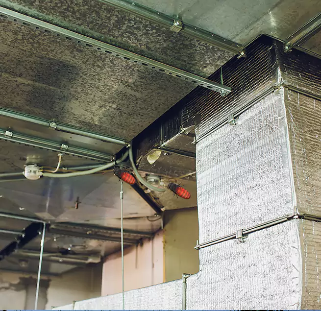 Why Homeowners & Businesses Trust Us in Patterson, CA?