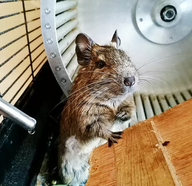 Why Homeowners & Businesses Trust Us Patterson, CA?