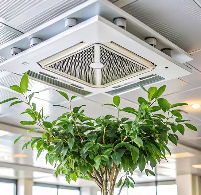 Why Homeowners & Businesses Trust Us in Patterson, CA